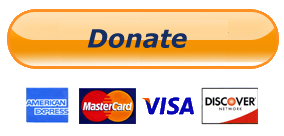 donate button