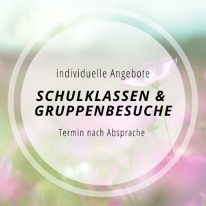 Schulklassen und Gruppenbesuche