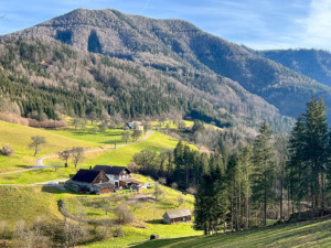 Panoramablick Ennstal