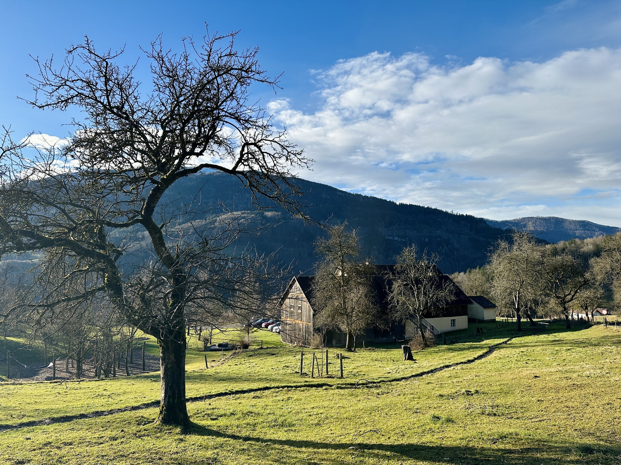 Landschaftsfoto Ennstal