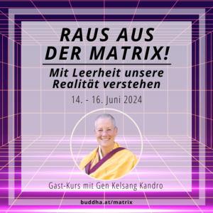 Raus aus der Matrix - mit Leerheit Realität verstehen