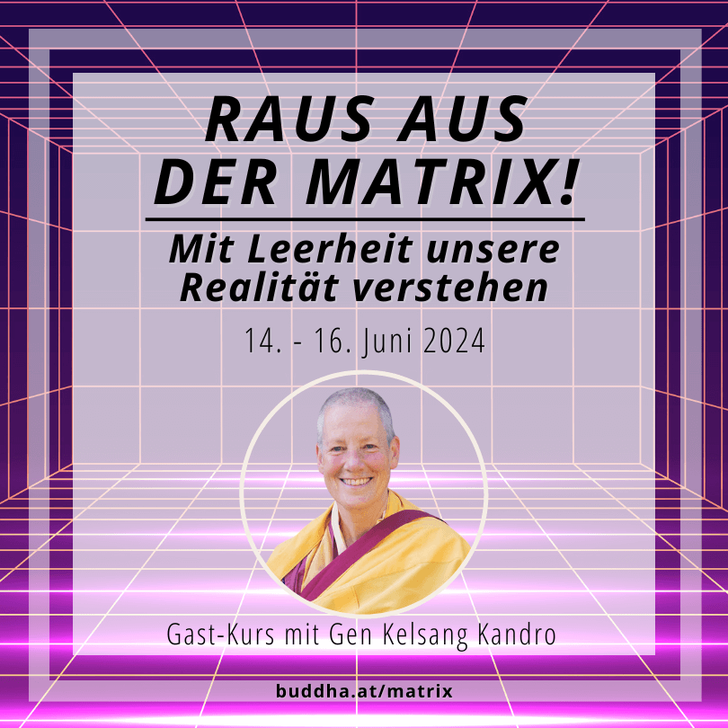 Raus aus der Matrix - mit Leerheit Realität verstehen