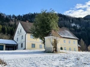Ennstal Schweige-Retreat